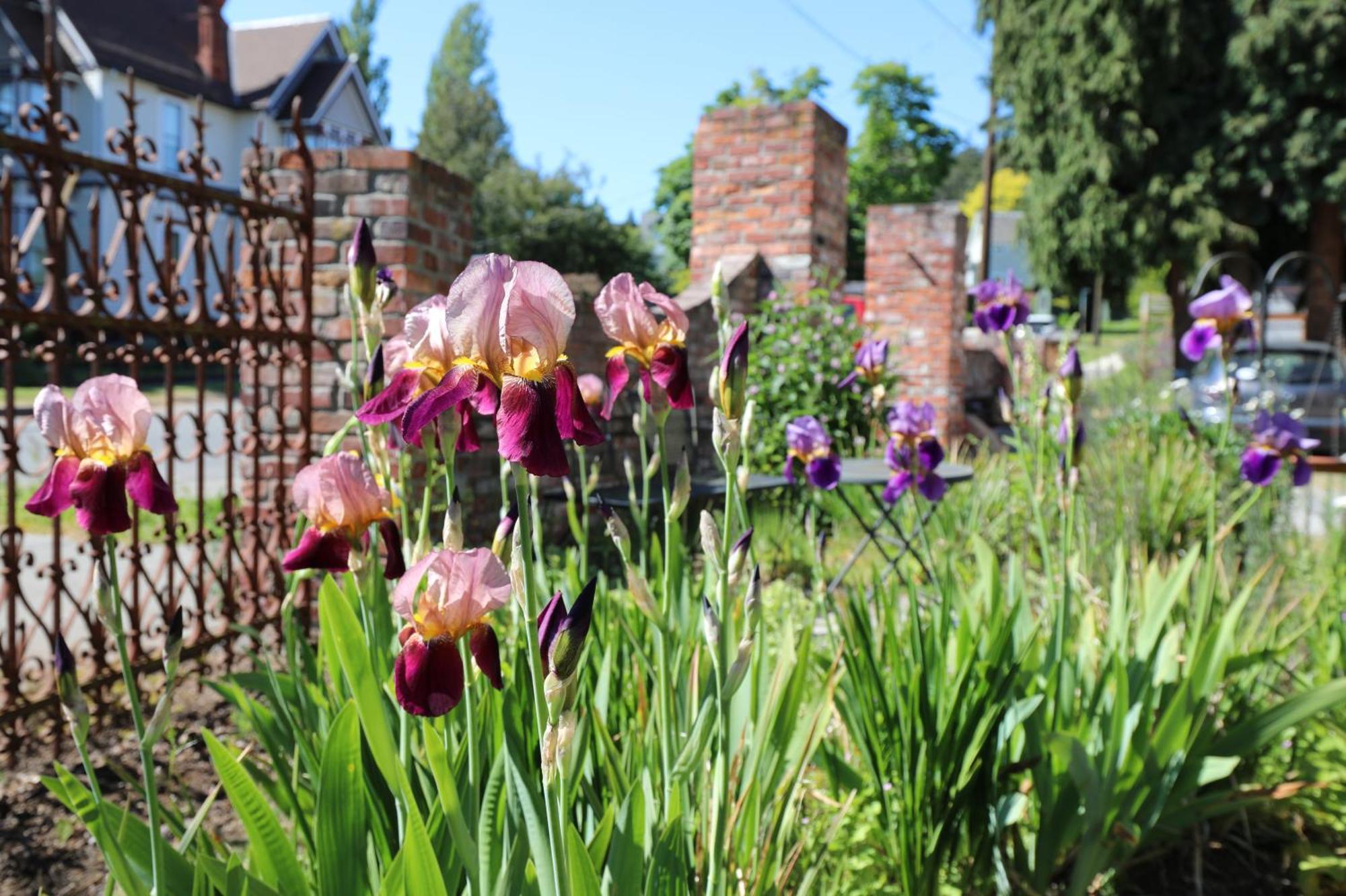 Adams Pragge House - Victorian Bed & Breakfast Port Townsend Esterno foto