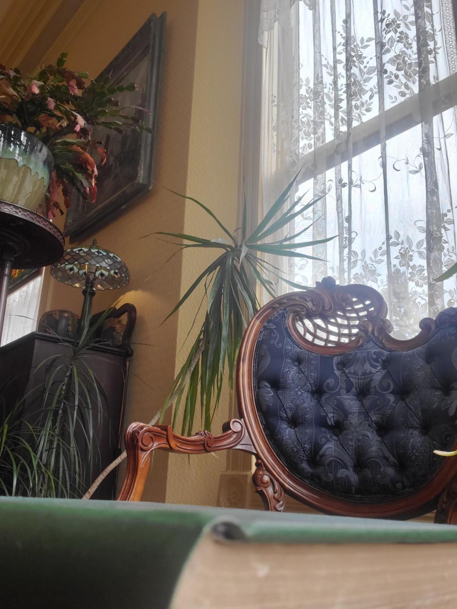 Adams Pragge House - Victorian Bed & Breakfast Port Townsend Esterno foto